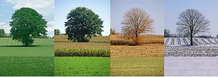 首发XGP的《狂野星球复仇记》制作人抨击微软订阅服务