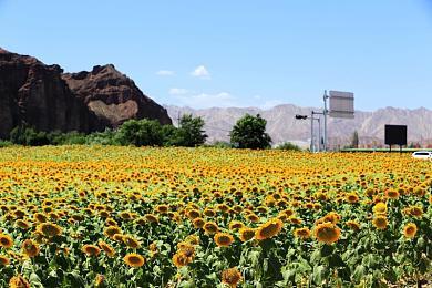 《inZOI》称非《模拟人生》竞品 注重深度定制和AI体验